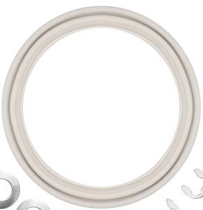 lot 4732 image: Jsyfcfc ECX5000G Diaphragm Gasket and ECX1014A Bump Shaft Kit (Includes ECX1011 ECX9611246 and ECX1014) Compatible with EC30, EC40AC, EC50A and EC50AC Series Extended D-.-E Filter - Retail $30