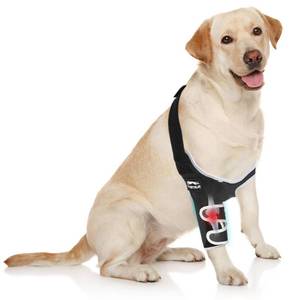 lot 4749 image: Dog Elbow Brace for Pets Elbow Dysplasia - Offers Elbow Warm and Stable, Reflective Pet Recovery Suit, Helps Wound Healing, Pet Wounds Prevent Licking, L&nbsp