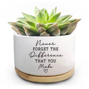 lot 12088 image: Jutasty Coworker Thank You Gifts, Funny Succulent Plant Pot, Flower Cactus Planter Gifts, Farewell Going Away Appreciation Inspirational Gifts for Women Men Boss Lady Manager Coworkers (No Plants)