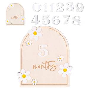 lot 14041 image: 3D Baby Monthly Milestone Sign, Daisy Wooden Baby Milestone Card, Newborn Birth Announcement Board, Newborn Photography Props Double