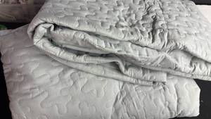 lot 17537 image: XL Pet Potty Pad