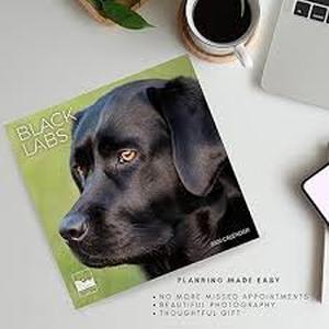 lot 14069 image: Black Labs 2026 Calendar 2-Pack