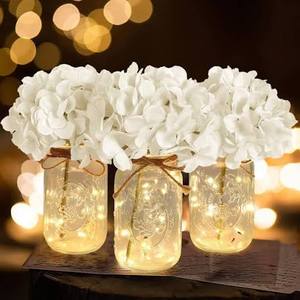 lot 17541 image: 3pk Hydrangea Jar, White