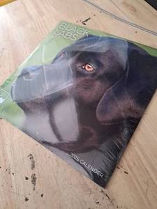 lot 4495 image: Black Labs 2026 Calendar