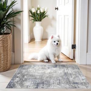 lot 6494 image: 2x3 Washable Non-Slip Rug � Modern Abstract Neutral Small Throw Area Rug for Kitchen, Entryway, Bedroom � Soft Low Pile Thin Indoor Door MatBlue Grey,2x3