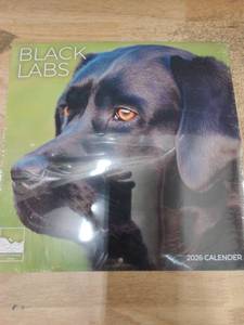 lot 14155 image: Black Labs 2026 Calender
