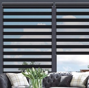 lot 13636 image: Changshade Cordless Zebra Blinds for Windows, Modern Dual Layer Zebra Blinds with Light Filtering and Privacy Control,Easy Install Zebra Blinds for Indoor Windows,30in W72in H,Black