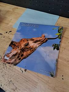 lot 4139 image: Giraffes 2026 Calendar