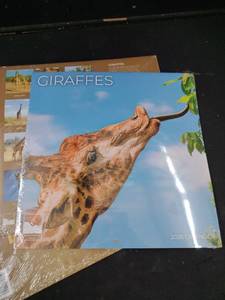 lot 6137 image: Giraffes 2026 Calendar lot of 3
