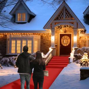 lot 14300 image: Red Carpet Runner for Party,140GSM 2.62FTx15FT Carpet Party Decorations Runway Rug for Prom Felt Non-Woven Fabric, Runner Rug for Wedding Ceremony Hollywood Theme Party