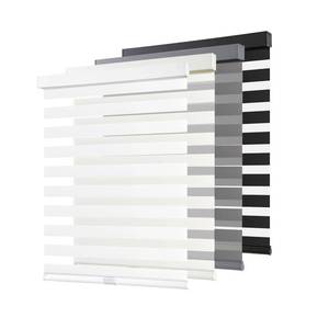 lot 19306 image: AOSKY Cordless Zebra Blinds for Windows Pull Down Roller Window Shades Dual Layer Light Filtering Privacy for Day and Night, Free-Stop Door Shades for Home Easy to Install (37 W X 72 H, White)