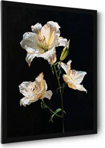 lot 4229 image: Bathroom Wall Art Prints Canvas Art Wall Decor Framed Vintage Wall Art Decor Pictures for Bathroom 8x10 Inchs Black and White Flowers Wall Art Decorations Botanical Hallway Over Bed Wall Art Decor
