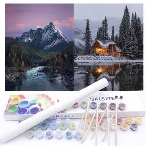 lot 18411 image: BAISITE Paint by Numbers Kit for Adults Beginners,12 Wx16 L 2 Pack Canvas for Painting Kits for Adults in Colorful Box-PBN219-220