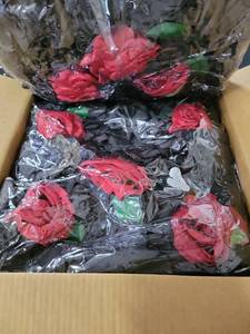 lot 19360 image: Flower Wall Backdrop 38cm x 38cm Black Red 12 Pieces