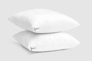 lot 1861 image: Coop Essence Throw Pillow Insert 2 Pack 18 x 18 in