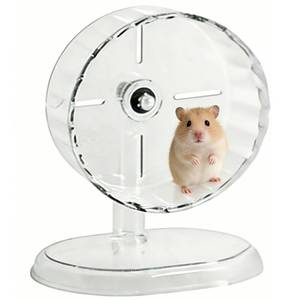 lot 2400 image: Silent Hamster-Wheel 7.1 Inch, Nonslip Spinning-Wheel, Exercise Hamster-Toys Platform for Hamster Cage Rat Cage Mouse Cage Small Pet Accessories for Hedgehog Gerbil Chinchilla Guinea Pig