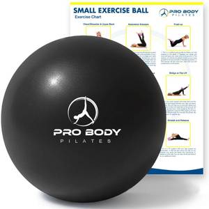 lot 12058 image: ProBody Pilates Small Exercise Ball - 9 Inch Workout Ball for Stability, Barre, Yoga, Core & Physical Therapy, Home Gym & Office Use (Black)