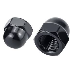 lot 12092 image: #10-32 Black Acorn Hex Cap Nuts (50 pcs), 304 Stainless Steel 188, Black Oxide Coated, Acorn Dome Head Cap Nuts, Fayeploo