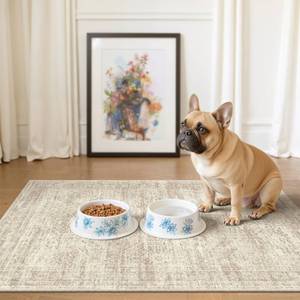 lot 14009 image: Soalmost 2x3 Washable Rugs for Kitchen, Floor, Entryway, Powder Room Small Area Rug Non-Slip Vintage Low Pile Throw Door Mat Beige