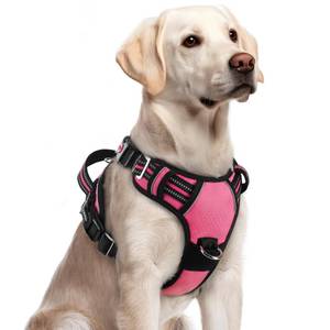 lot 2277 image: rabbitgoo Dog Harness for Large Dogs, 3 Buckles Easy On & Off No Pull Pet Vest, Soft Padded Walking Pet Harness with Control Handle, Adjustable and Reflective, Pink, L