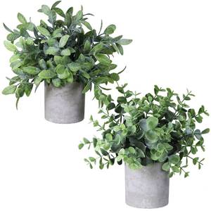 lot 2289 image: Winlyn Set of 2 Faux Mini Potted Plants Artificial Eucalyptus Boxwood Plants in Pots Fake Greenery Arrangement for Rustic Farmhouse Indoor Table Centerpiece Mantel Shelf Kitchen Office Desk Decor