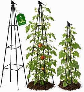 lot 2328 image: FOLLOOK 2 Pack Obelisk Trellis, 67 Adjustable Metal Garden Trellis for Climbing Plants Outdoor, Cucumber Trellis Tomato Cage for Raised Bed, Potted Plants, Vegetable Vine Flower, Black