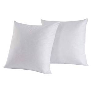 lot 2349 image: HOMESJUN Set of 2 Feather and Down Pillow Insert, 12x12 Square Decorative Throw Pillow Insert, Cotton, White