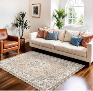 lot 2527 image: Rug for Bedroom Dining Room Soft Carpet for Nursery Kitchen Home Office Durable & Easy-Clean Design Perfect for Homes with Cats & Dogs(3x5 Beige