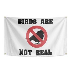 lot 2530 image: Birds Are Not Real Flag White Polyester Banner with Grommets 3x5 Feet Funny Graphic Design Indoor Outdoor Wall Hanging Decoration for Dorm College Students