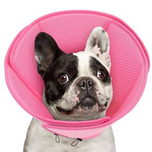 lot 3154 image: Queenmore Soft Dog Cone Collar,Comfortable Dog Cones for Medium DogsCats to Stop Licking After Surgery,Comfy Cone for Dogs, Neuter Recovery Ecollars of Shame Alternatives,Pink,M