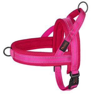 lot 3196 image: Didog No Pull Dog Harness with Breathable Mesh Padded,Reflective & Quick Fit Light Weight Dog Strap Vest Harness,Easy for Walking Training (LChest 26-32, Mesh-Hot Pink)