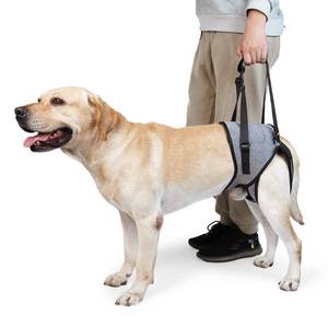 lot 3574 image: Dotoner Dog Sling for Large Dogs Hind Leg Support to Help Rehabilitate the Hind Limbs of Elderly Dogs with Weak Hind Legs Disabilities and Injuries Dog Harness Helps Arthritis ACL Recovery XL,Grey