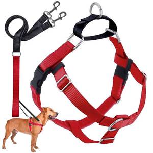lot 3587 image: 2 Hounds Design Freedom No Pull Dog Harness, Adjustable Harness and Leash Set, Easy Walking & Comfortable Control, Fits Small, Medium & Large Dogs, Solid Colors, Made in USA, 58 SM, Red