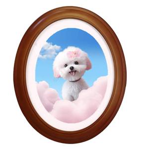 lot 3605 image: kfeity Oval picture frame Wooden Display Frame Classic Wooden Wall Hanging Picture Frames for Home Office Wall Decor (Brown, 10inch)