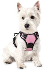 lot 17345 image: Dog Harness No Pull with 2 Leash Clips, Adjustable Soft Padded, Reflective Oxford No Choke Pet Vest with Easy Control Handle for Puppy, Pink, XS - Retail $18