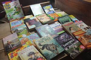 lot 1552 image: Misc. Childrens Books and More