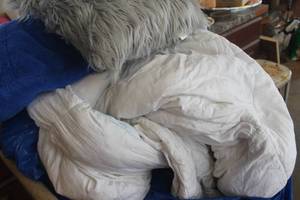 lot 1663 image: Queen Comfortor and More