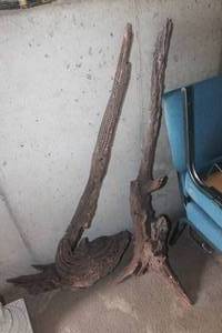 lot 1680 image: 2 LARGE Pieces of Drift Wood
