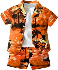 lot 452204 image: SANGTREE 3 Piece Boys Outfits Short Sleeve and Shorts Set Summer clothes  Cotton Hawaiian baby boy Beach Vacation Spring School matching