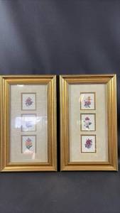 lot 33 image: Framed Botanical Flower Prints Set of 2 Gold Frames 10 by 17 inches