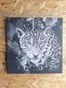 lot 42 image: Leopard Portrait Black and White Canvas Print - 20x20 Inches