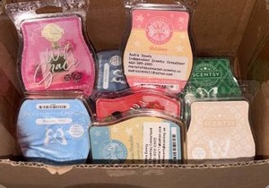 lot 52209 image: Scentsy Wax Warmer Bar Lot Mixed Scents - Retail $36