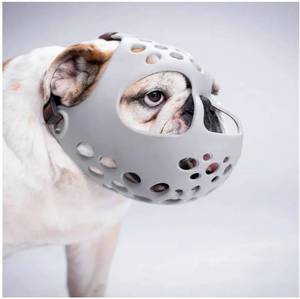 lot 27903 image: Short Snout Dog Muzzle with Breathable Mesh, Ideal for French Bulldogs, Pugs and Flat-Faced Breeds, Lightweight Bite Control Cover - Retail $40