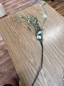 lot 17 image: Audreys pick a hint of white artificial floral pick 36 inches in length