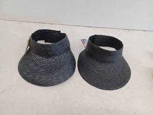 lot 16995 image: Sun Visor, 2 Pack