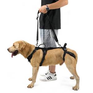 lot 2737 image: COODEO Mobility Dog Lift Harness, Support Sling & Walking Sling for Dogs, Pet Rear Leg Rehabilitation Support Vest, Dog Carrier for Senior Dogs with Joint Injuries, Arthritis, Up Stair (Black, L)