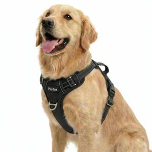 lot 4069 image: Funfox Dog Harness for Large Dog No Pull, Adjustable Pet Vest Harness, Vertical Handle Easy Control with 2 Leash Clips, Reflective Safe Night Walking for Small Medium Large Size, Black, L