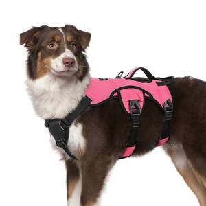 lot 4070 image: rabbitgoo Escape Proof Dog Harness, Soft Padded Full Body Pet Harness, Reflective Adjustable No Pull Vest with Lift Handle and Leash Clip for Large Dogs Walking Hiking Training, M, Pink