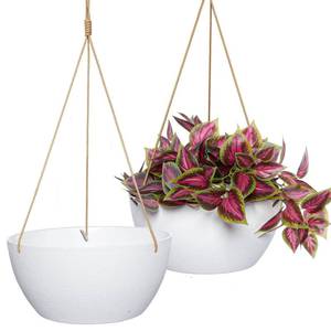 lot 4118 image: SwinDuck 13 Inch 2 Pack Large Hanging Planters for Indoor Outdoor Plants, Plastic Hanging Basket Pots for House Plants Flowers, White