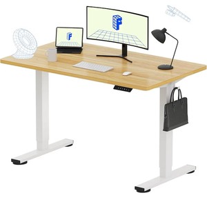 lot 8200 image: FLEXISPOT EN1 One-Piece Standing Desk, Electric Adjustable